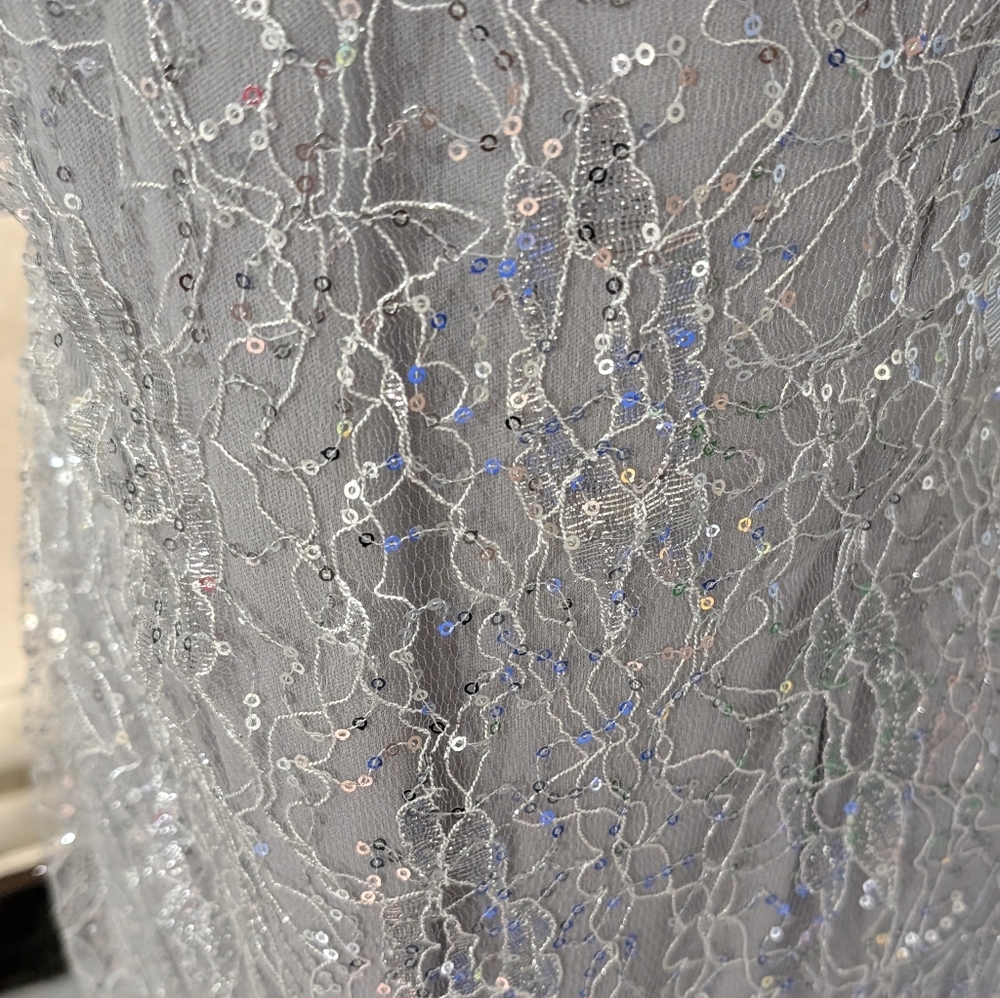 Silver Lace and Sequin Column Gown - Picture 3 of 4